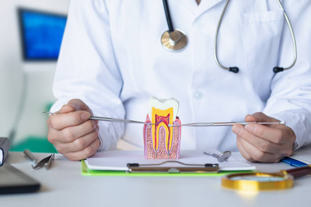 Best Knocked-Out Tooth (Avulsed Tooth) Treatment in Emma, NC